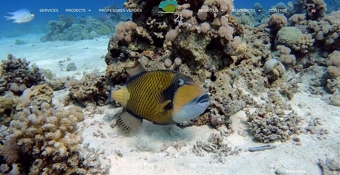 Web site with under water scene of a large yellow and black vibrant fish with huge eyesm swimming amongst corral