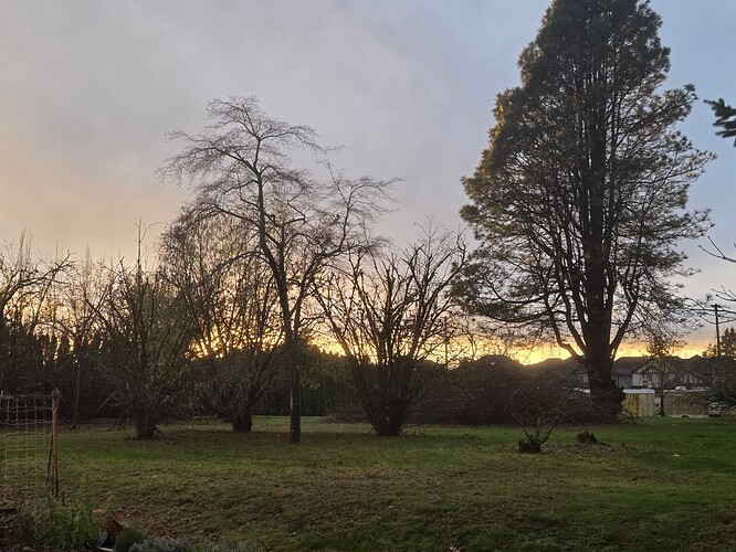 Daylight on the Horizon