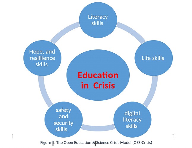 Education in Crisis in center of 5 nodes including Literacy skills, Life Skills, Digital Literacy Skills, Safety and security Skills, plus Hope and resilience skills