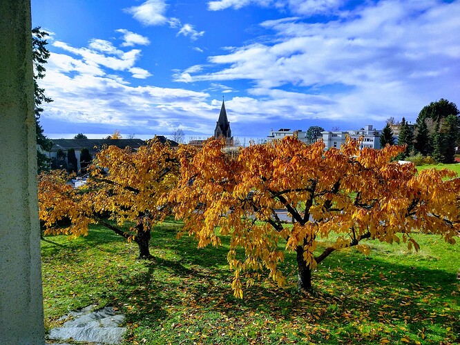 IMG_20231121_122758251_HDR-EFFECTS