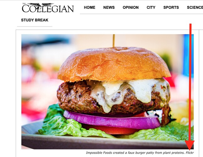 Picture of a hamburger in the Collegian site where an arrow points to the insufficient attribution to simple "flickr"