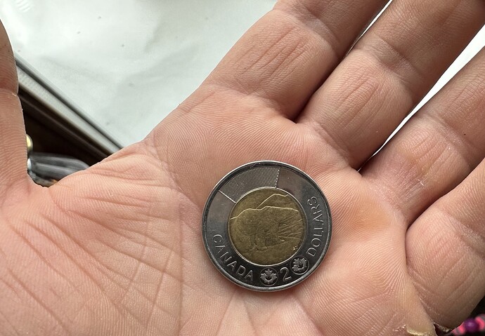 In an open hand is a Canadian two dollar coin