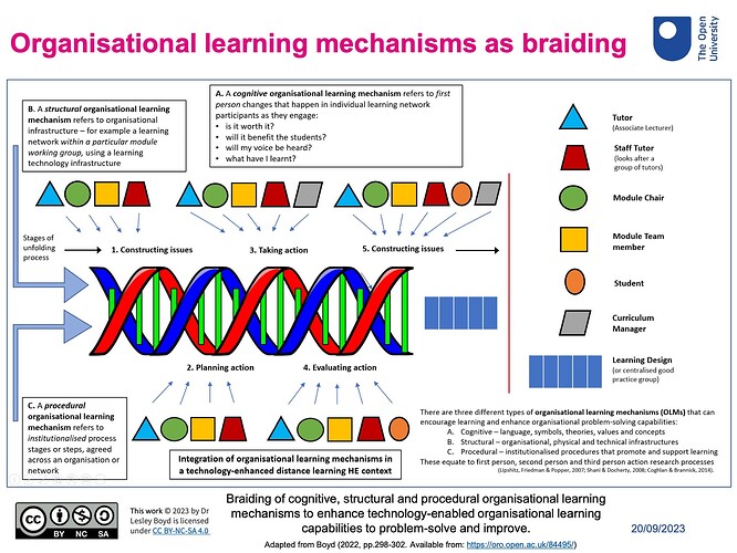 Organizational learning mechanisms as braiding (DNA metaphor)