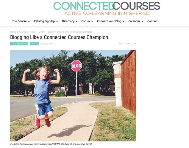 Connected Courses Post on Blogging Like a Champion