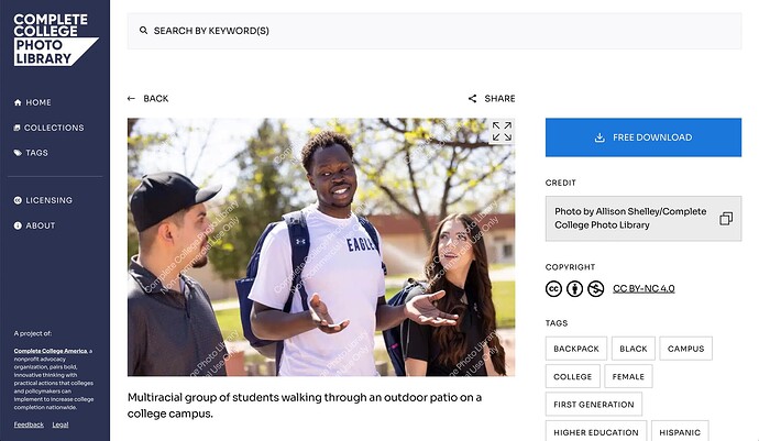 Sample ohoto display page with a watermarked image, credit statement, license, tags, and caption - Multiracial group of students walking through an outdoor patio on a college campus.