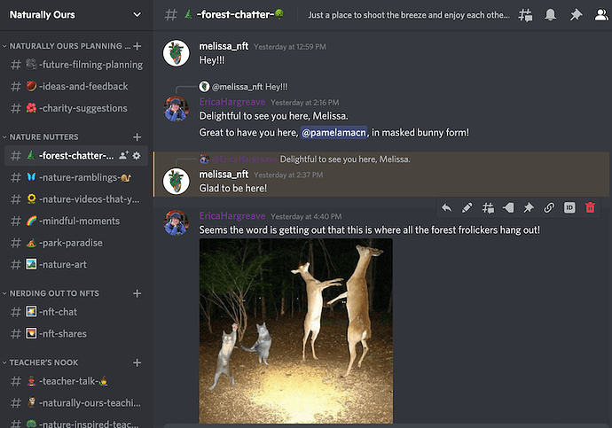 Naturally Ours Discord