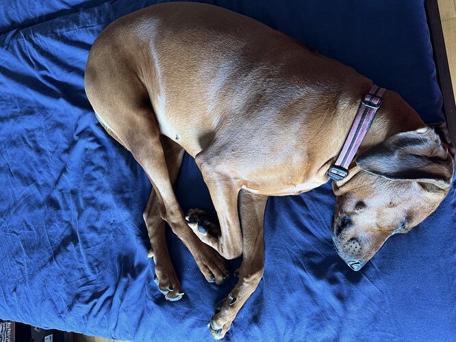 Study in contemplation