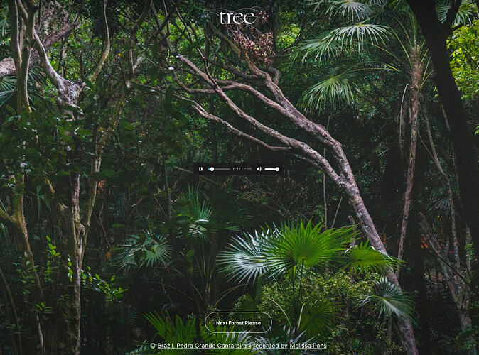 Screenshot 2026-03-04 at 17.32.02