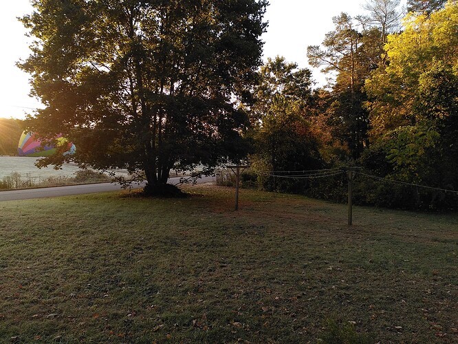 Looking out from the back porch on an early October morning 2025