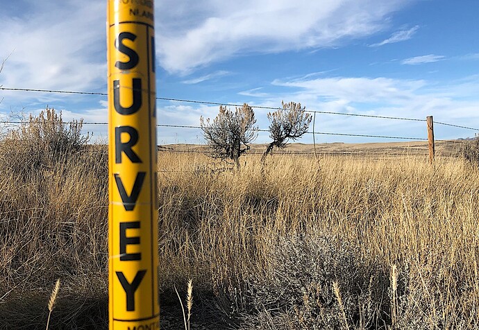 a yellow marker pole labeled SURVEY stands in a field of grass with a fence behind