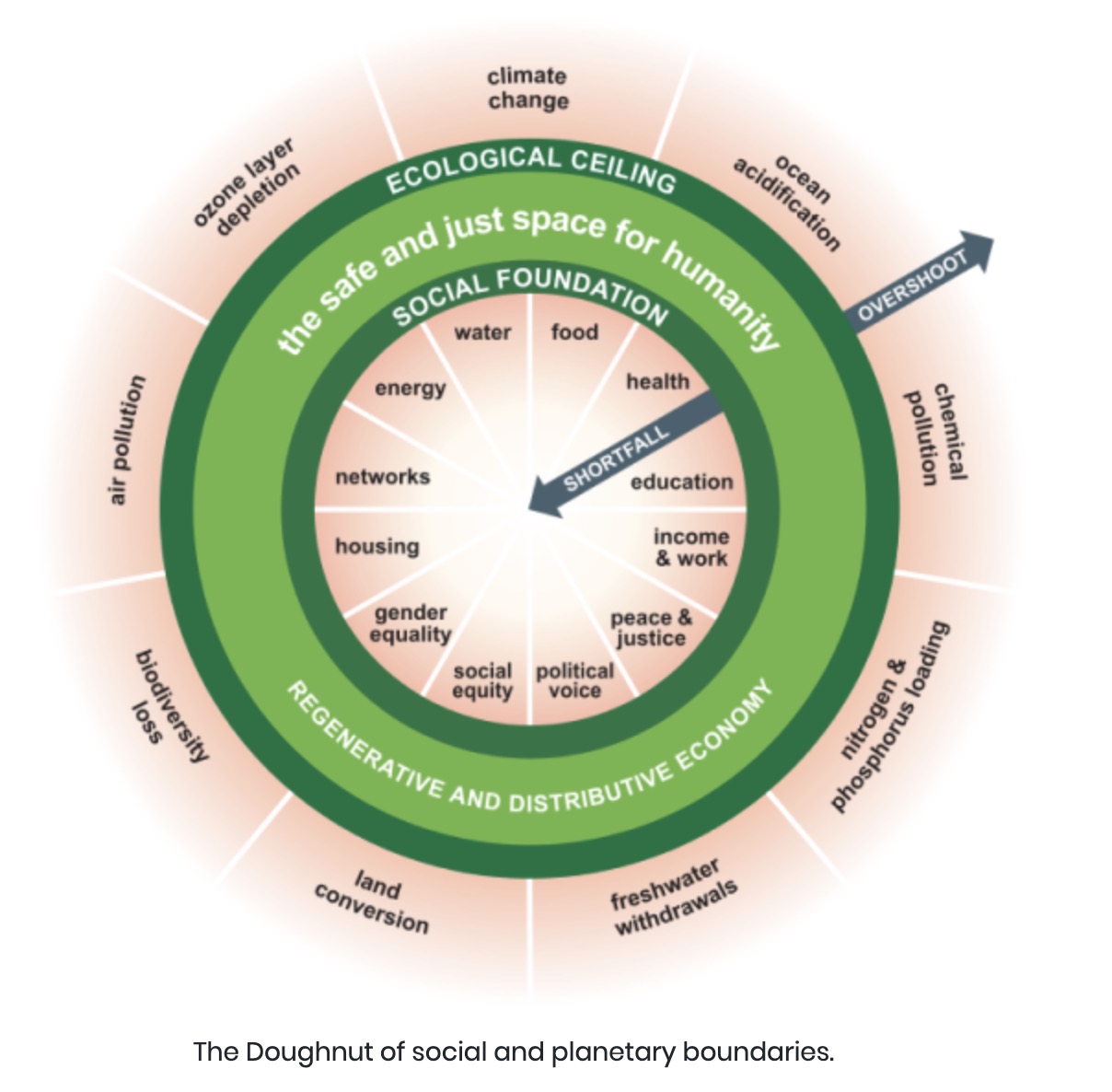 Diagram of rings marked Ecological Ceiling and inside a smaller ring of social foundation