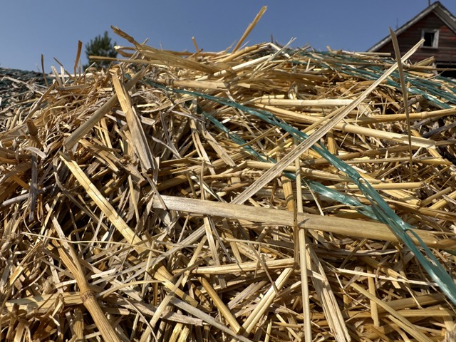 Top of straw bale with strands overlapping and intertwined, plus bailing wire that holds it together. A peak of a red barn is visible in background