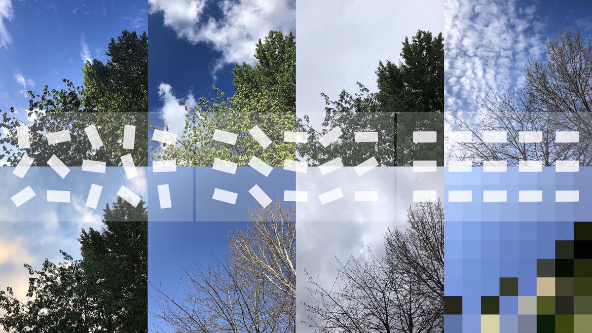 8 photos of the same tree taken at different times of the year in 2 rows of 4, the last photo is highly pixelated. A pattern of random white blocks run across the image from the left and become aligned on the right.